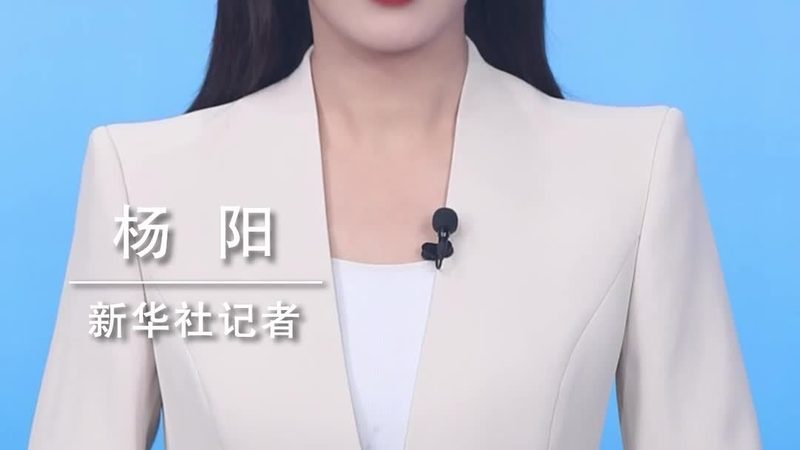 数字化教育解决方案：定制化之路的利与弊